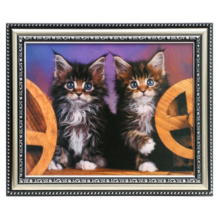 Картина "Котята" 21х26 см рамка МИКС