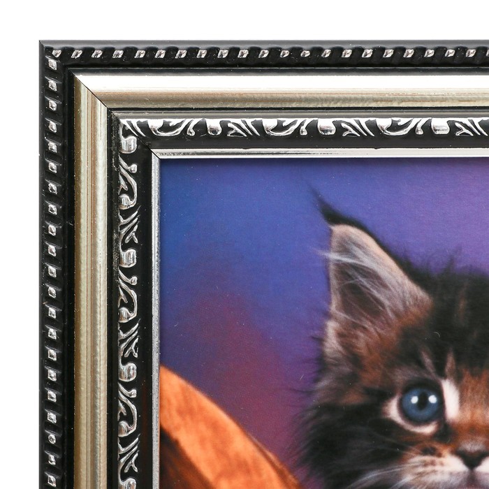 Картина "Котята" 21х26 см рамка МИКС