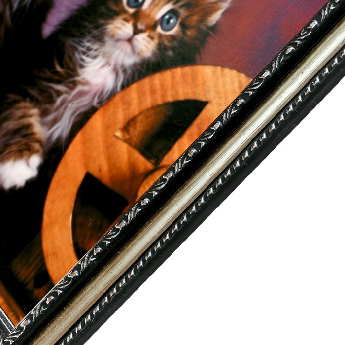 Картина "Котята" 21х26 см рамка МИКС