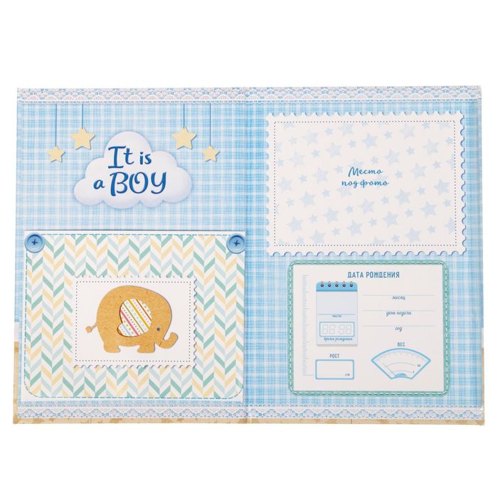 Свидетельство о рождении мальчика "Слонята" с карманом для полиса