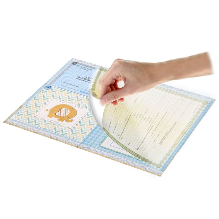 Свидетельство о рождении мальчика "Слонята" с карманом для полиса