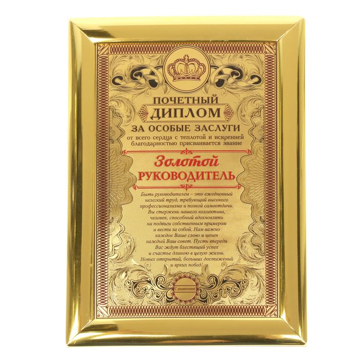 Диплом "Золотой руководитель"