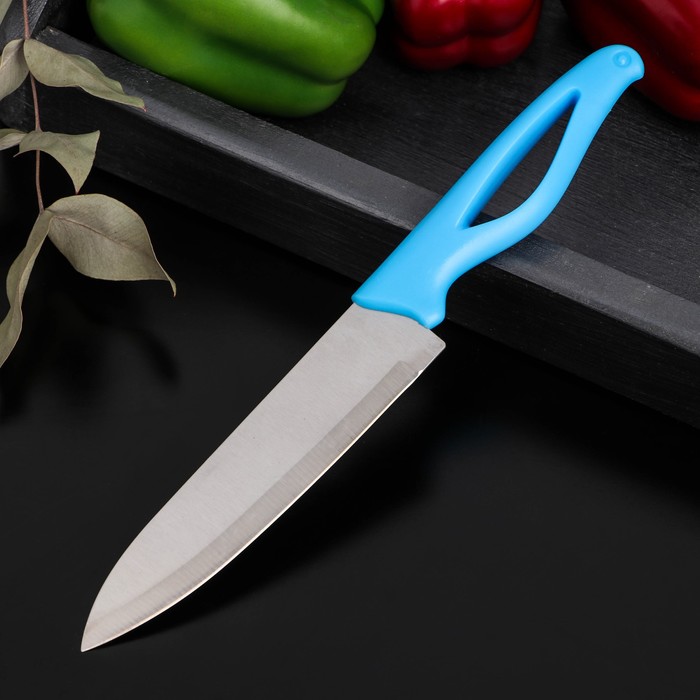 Нож кухонный Доляна «Раймонд», лезвие 14 см, цвет МИКС нож кухонный керамический керамик лезвие 7 5 см цвет микс
