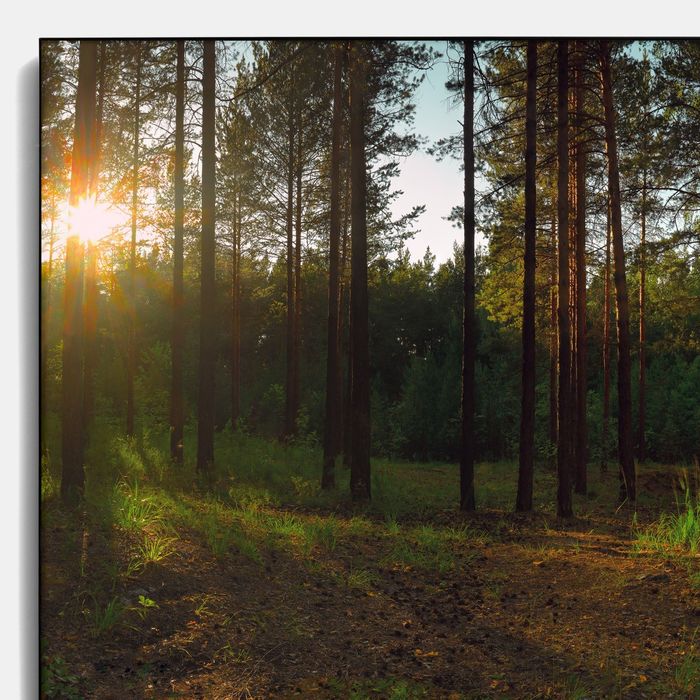 Авторская фотокартина «Бажовские места»