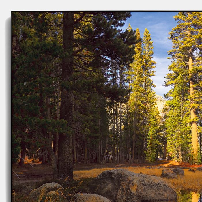 Авторская фотокартина «Зеркало Тиога Пасс»