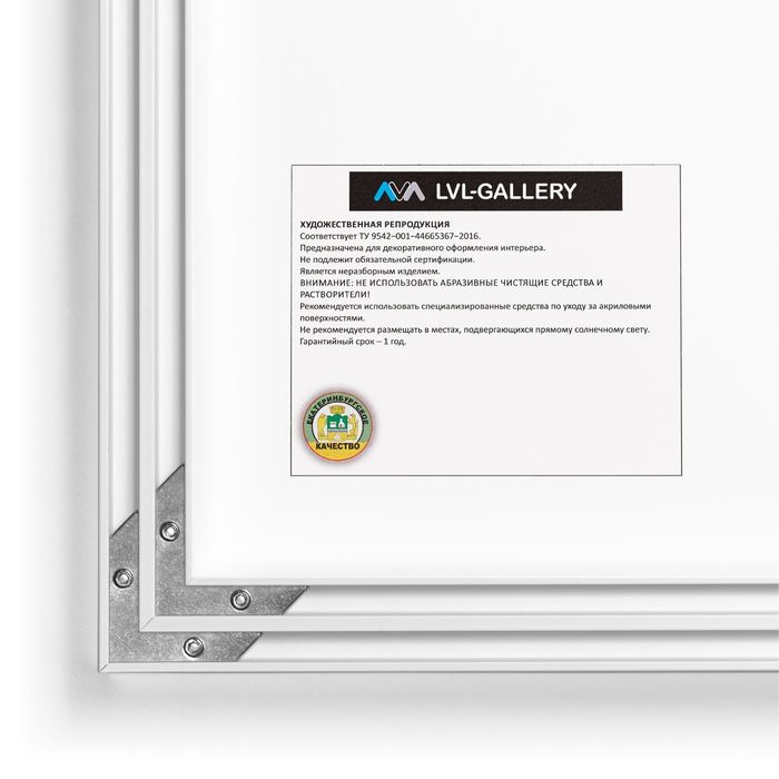 Авторская фотокартина «Вьюга и Солнце»