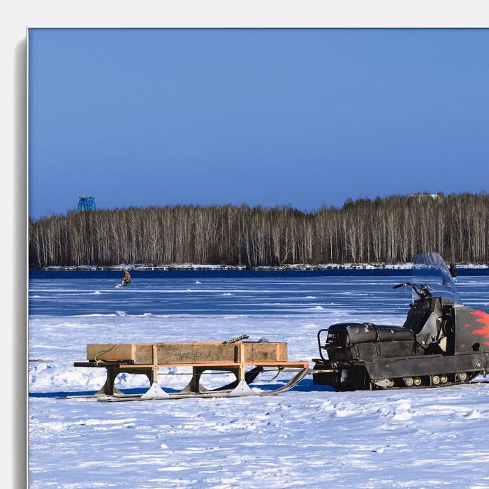 Авторская фотокартина «Рабочая лошадка»