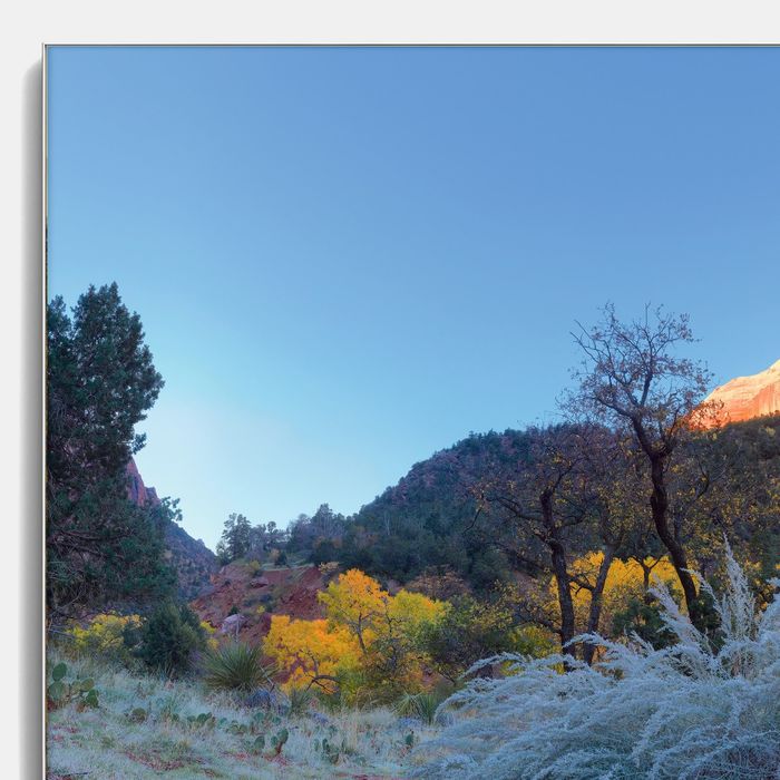 Авторская фотокартина «Павлины каньона Зайон»