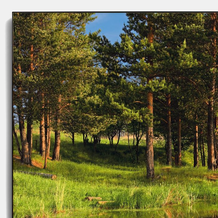 Авторская фотокартина «Тенистая заводь»