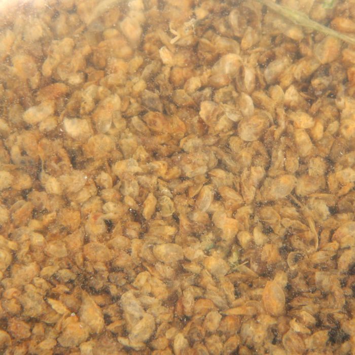 Корм для рыб Дафния, ведро 1 л, 210 г