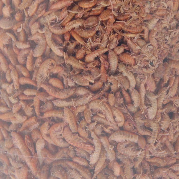 Корм для рыб Гаммарус (тушка), ведро 1 л, 120 г