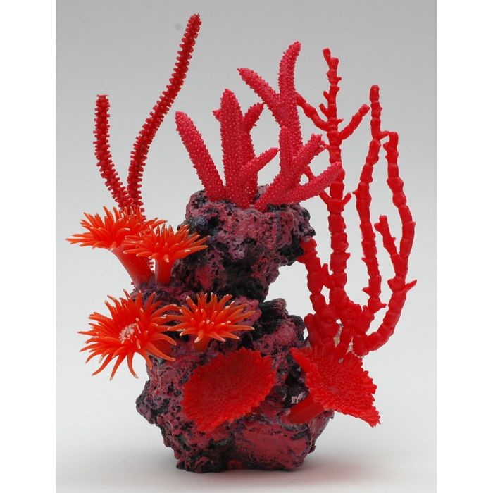 Композиция из кораллов пластиковая 15х23х31см (SH9538SR)
