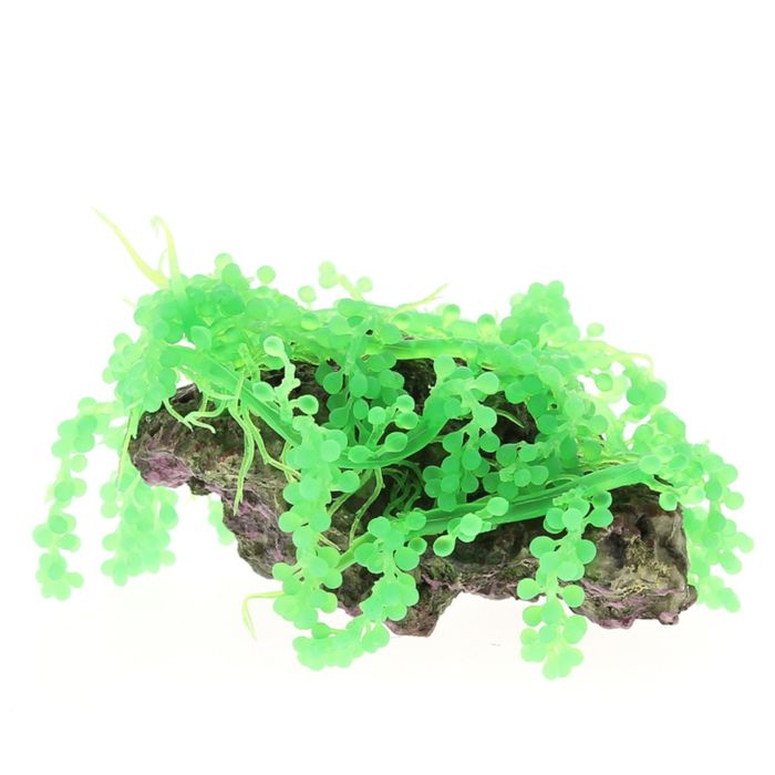 Композиция из кораллов пластиковая 22х18х10см (SH201B)