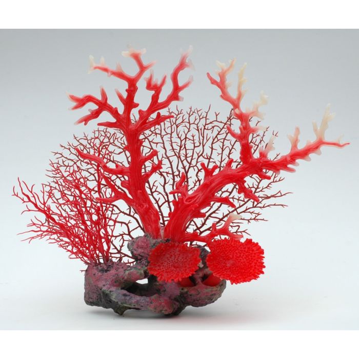 Композиция из кораллов пластиковая 32х13х28см (SH9574B)