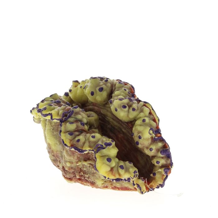 Коралл пластиковый (мягкий) желто-красный 15x10,8x10,8см (SH049MRY)