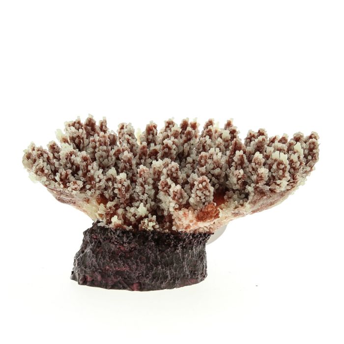 Коралл пластиковый (мягкий) перламутровый 21х18х8,5см SH080PI)