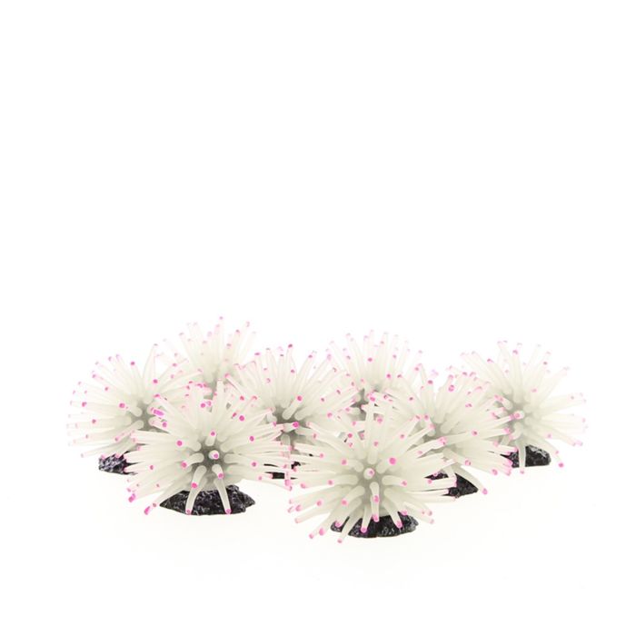 Коралл силиконовый на полирезиновой основе, белый, 4.5х4.5х4см (8шт) (RT172XSW)