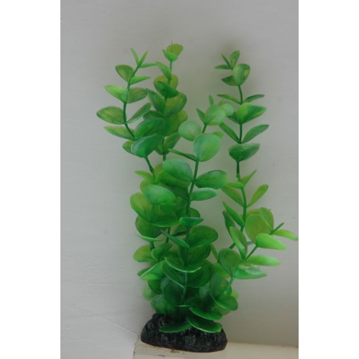 Растение пластиковое Монетница 30см зеленое