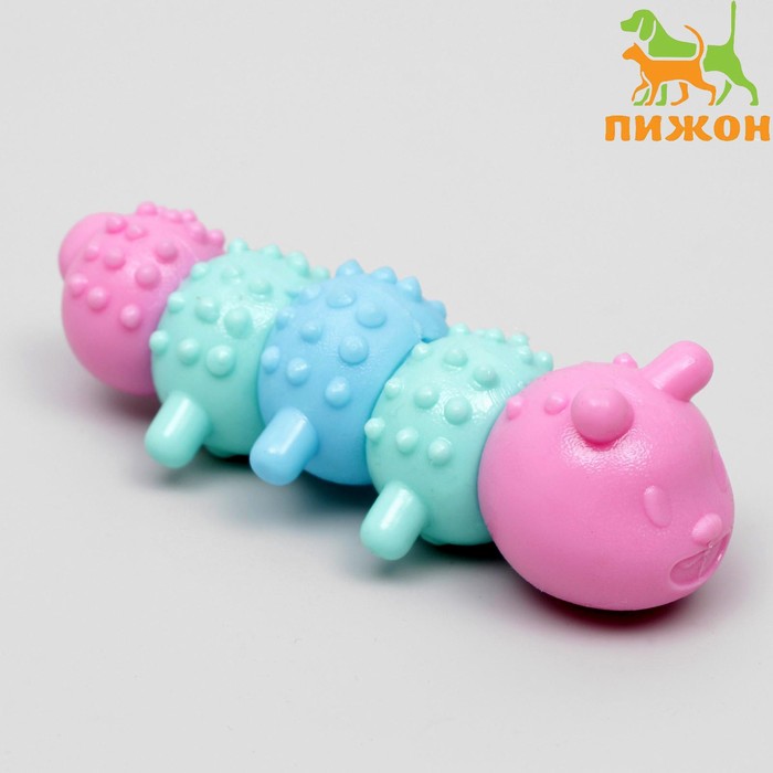 Игрушка жевательная Гусеница, TPR, 12,5 см, микс цветов