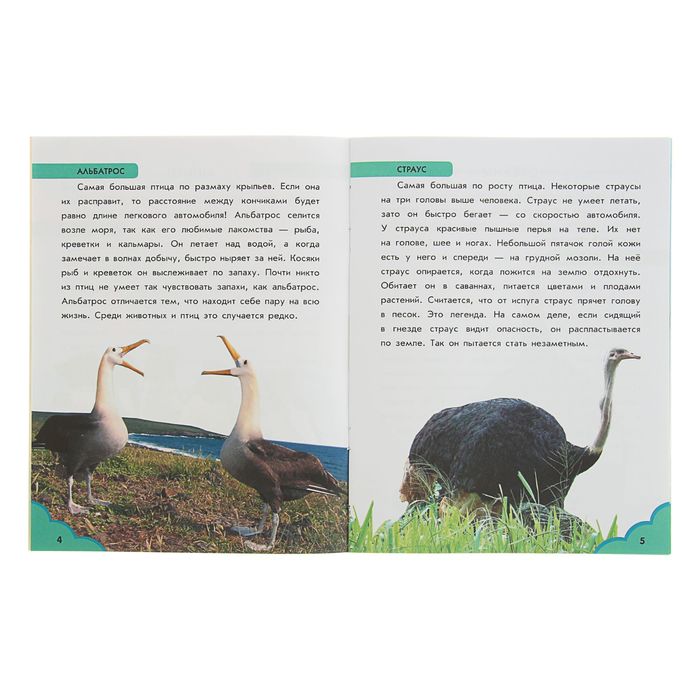 Теперь умею я читать. О животных. От колибри до кита С218003Р