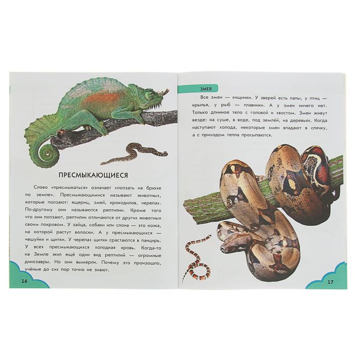 Теперь умею я читать. О животных. От колибри до кита С218003Р