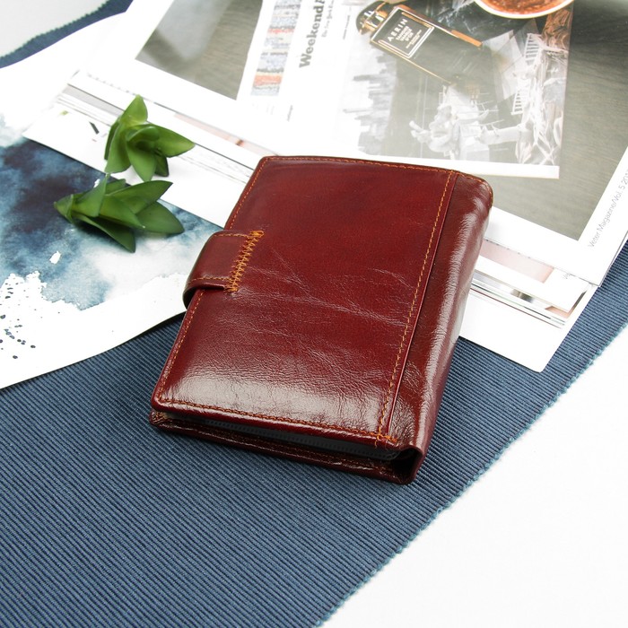 Портмоне мужское 2 в 1 "Волк", с отделом для автодокументов, 2 отдела для монет и карт, цвет коричневый