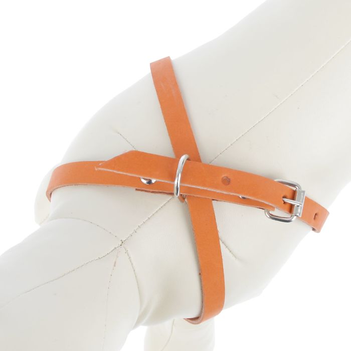 Комплект из цветной кожи «Зооник», шлейка 1,2 см и поводок 125 см, общий обхват шеи и груди 58 см