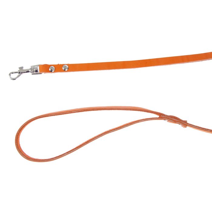 Комплект из цветной кожи «Зооник», шлейка 1,2 см и поводок 125 см, общий обхват шеи и груди 58 см