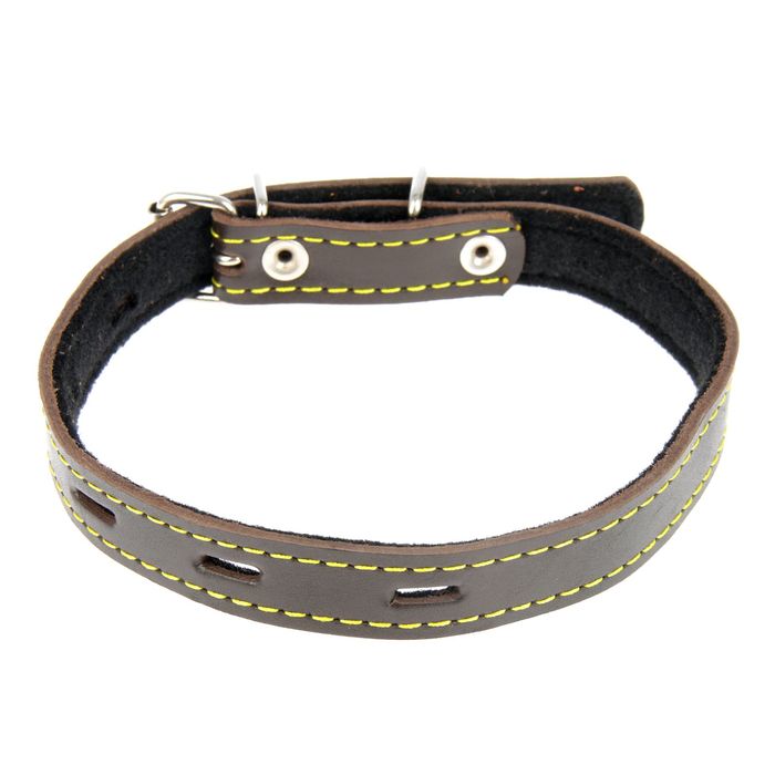 Комплект из цветной кожи Зооник для щенков, ошейник 2 см и поводок