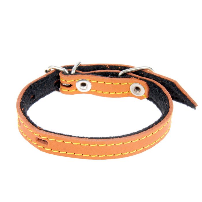 Комплект из цветной кожи для щенков Зооник, ошейник 35 см, поводок 130 х 1,5 см