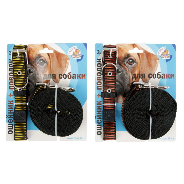 Комплект капроновый Зооник, ошейник 38-51 х 2,5 см и поводок 3 м