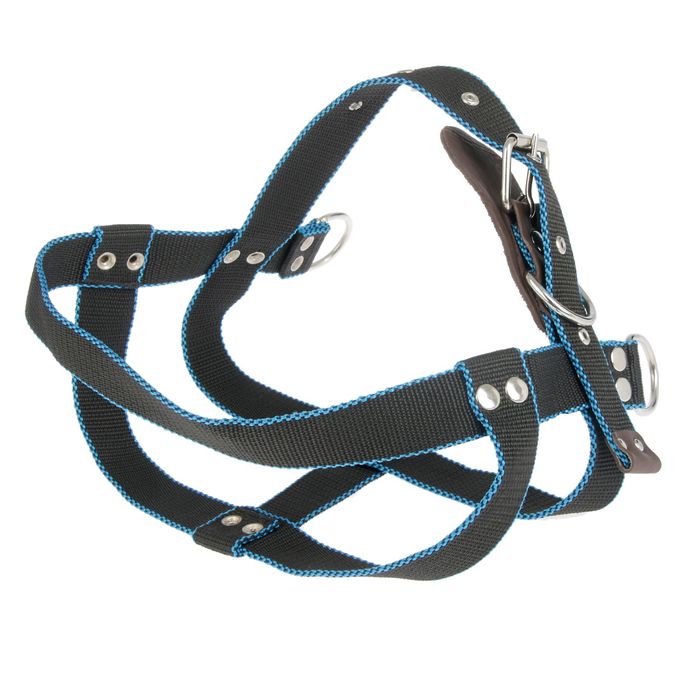 Шлейка капроновая большая «Зооник», обхват шеи 78 см, обхват груди 66-91 см, ширина 3,5 см