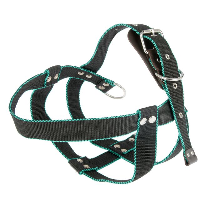 Шлейка капроновая большая «Зооник», обхват шеи 78 см, обхват груди 66-91 см, ширина 3,5 см