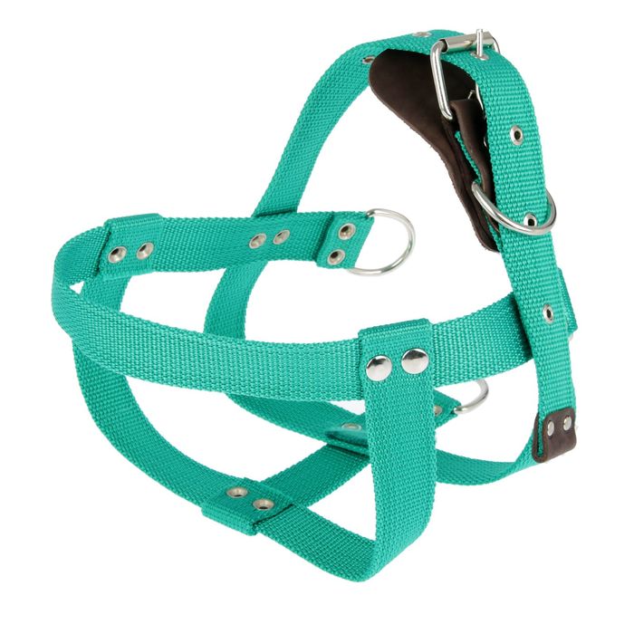 Шлейка капроновая малая «Зооник», обхват шеи 60 см, обхват груди 64-86 см, ширина 3,5 см