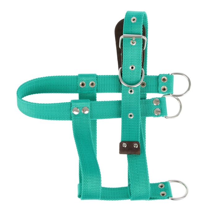 Шлейка капроновая малая «Зооник», обхват шеи 60 см, обхват груди 64-86 см, ширина 3,5 см