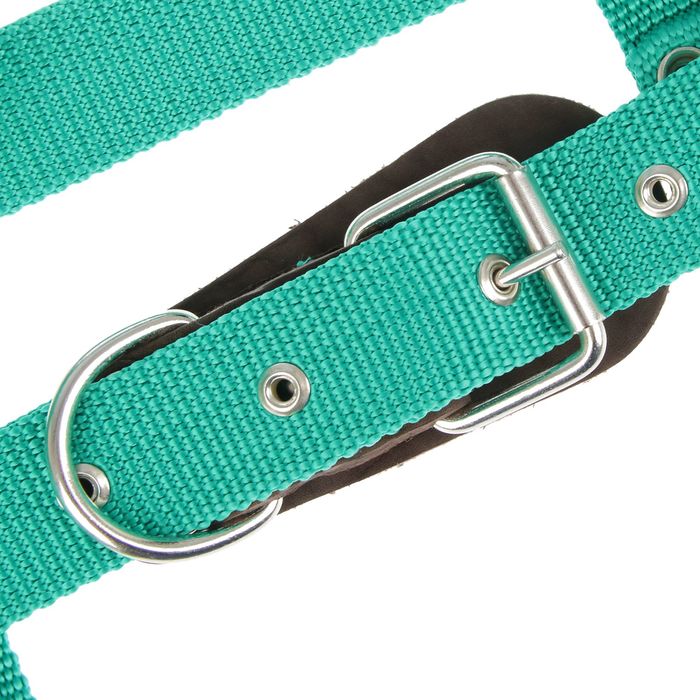 Шлейка капроновая малая «Зооник», обхват шеи 60 см, обхват груди 64-86 см, ширина 3,5 см