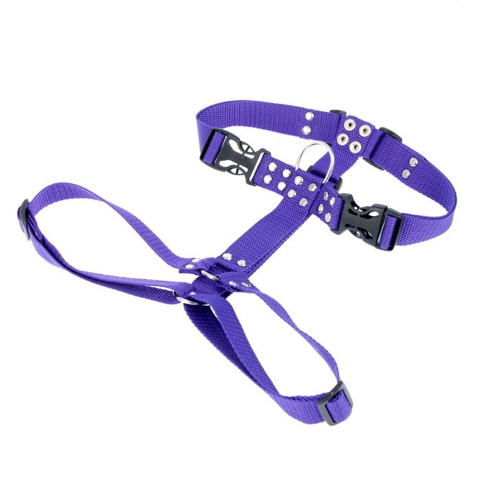 Шлейка большая сложная «Зооник», обхват шеи 48-86 см, обхват груди 56-84 см, ширина 2,5 см микс цветов