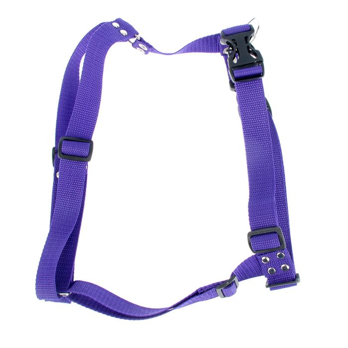 Шлейка большая сложная «Зооник», обхват шеи 48-86 см, обхват груди 56-84 см, ширина 2,5 см микс цветов