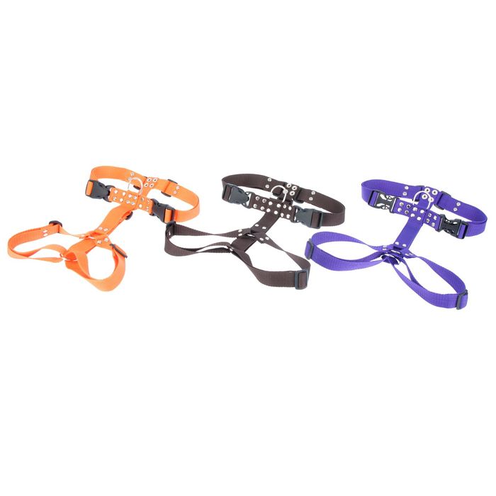 Шлейка большая сложная «Зооник», обхват шеи 48-86 см, обхват груди 56-84 см, ширина 2,5 см микс цветов