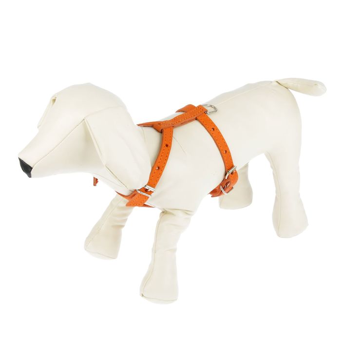 Шлейка кожаная для собак малая «Зооник», обхват шеи 14-27 см, обхват груди 25-36 см, ширина 1,5 см