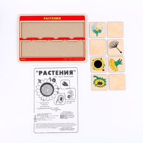

Рамка-вкладыш "Чудеса преображений: растения"