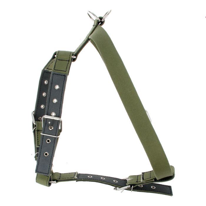 Шлейка универсальная брезентовая, 3,5 см, для травли