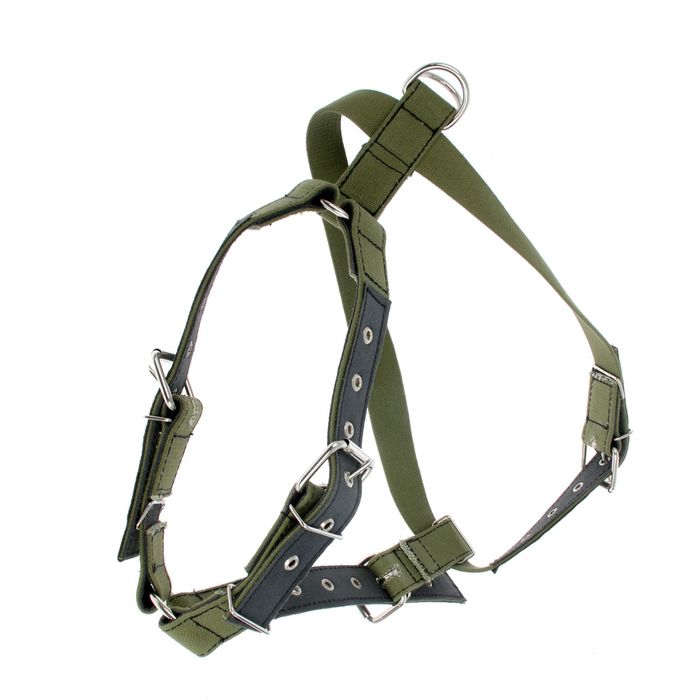 Шлейка универсальная брезентовая, 3,5 см, для травли