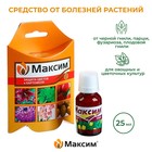 Миниатюра