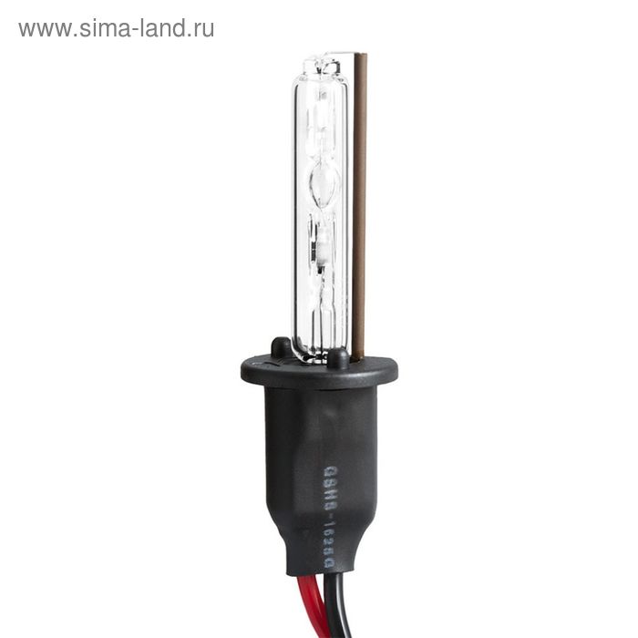 цена Лампа ксеноновая MTF, H1, 4300k