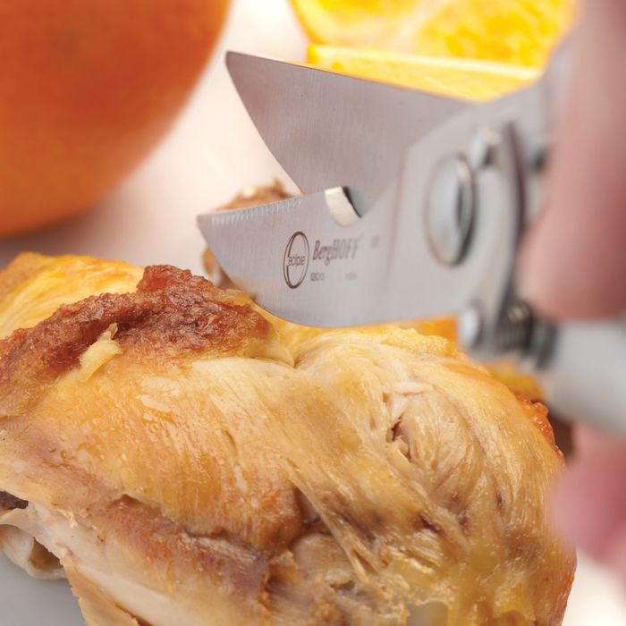 Ножницы для разделки птицы Eclipse, 24.5 см