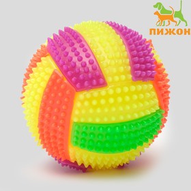 Мяч для собак светящийся с пищалкой 'Водное поло', TPR, 7 см, микс цветов Ош