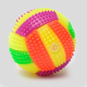 Мяч для собак светящийся с пищалкой "Водное поло", TPR, 7 см, микс цветов от Сима-ленд