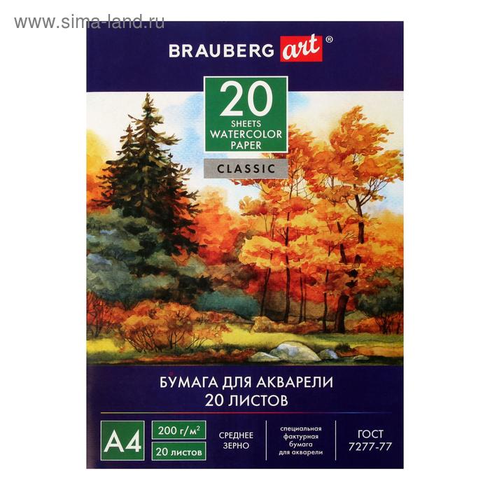Папка для акварели А4 210 х 297 мм 20 листов блок 200 гм2 бумага по ГОСТ 7277-77 180₽