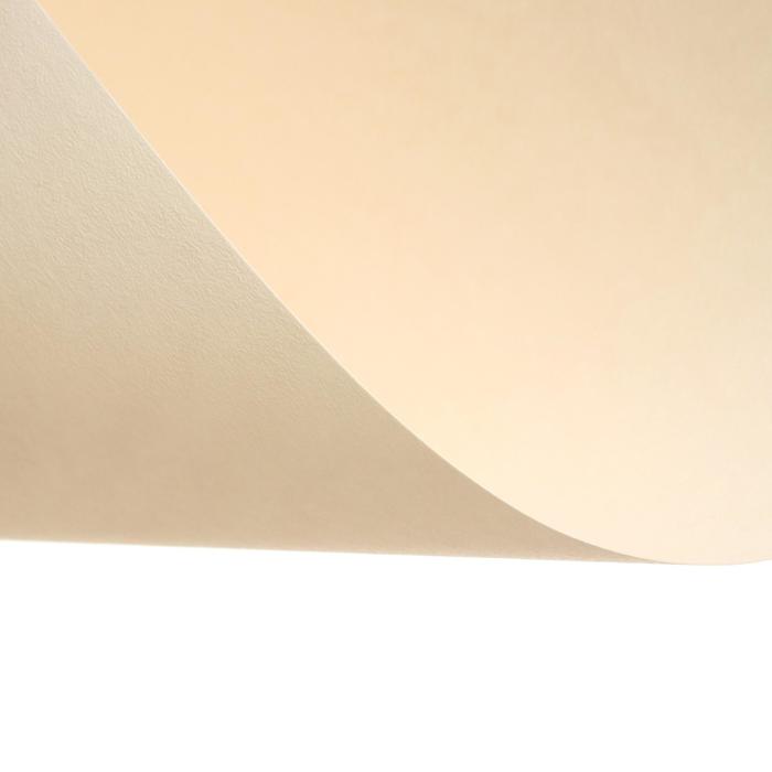 Папка для пастели А4, 210 х 297 мм, 20 листов, тонированная бумага, слоновая кость, ГОЗНАК «Скорлупа», 200г/м